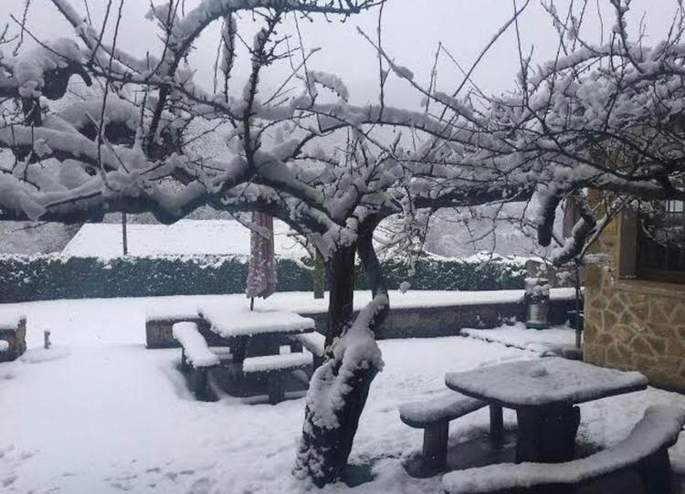 Hotel Restaurante La Carasca Orlé Kültér fotó